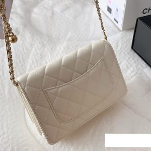 New Fashion CN Handbag C453