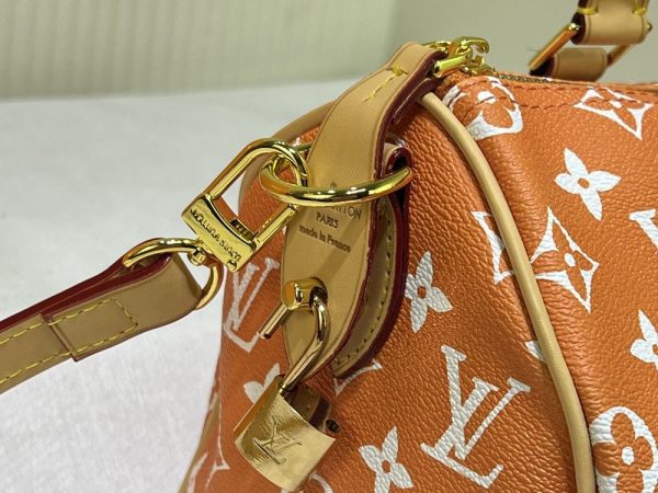 Luxury LV Handbag M24424.1