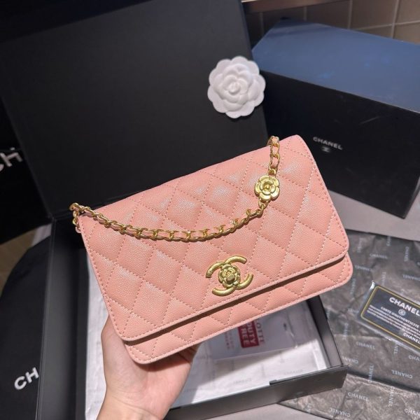 New Fashion CN Handbag C434