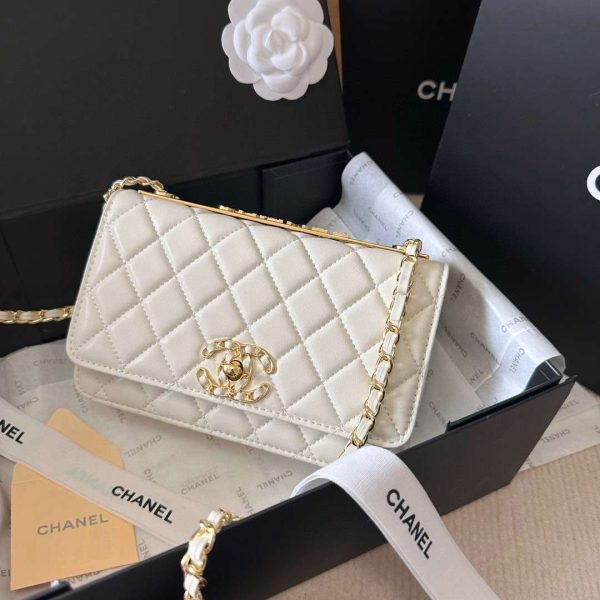 New Fashion CN Handbag C225