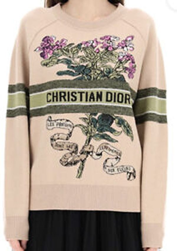 New Fashion Dior Sweater D021