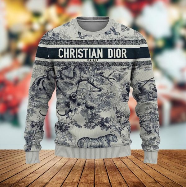 New Fashion Dior Sweater D058